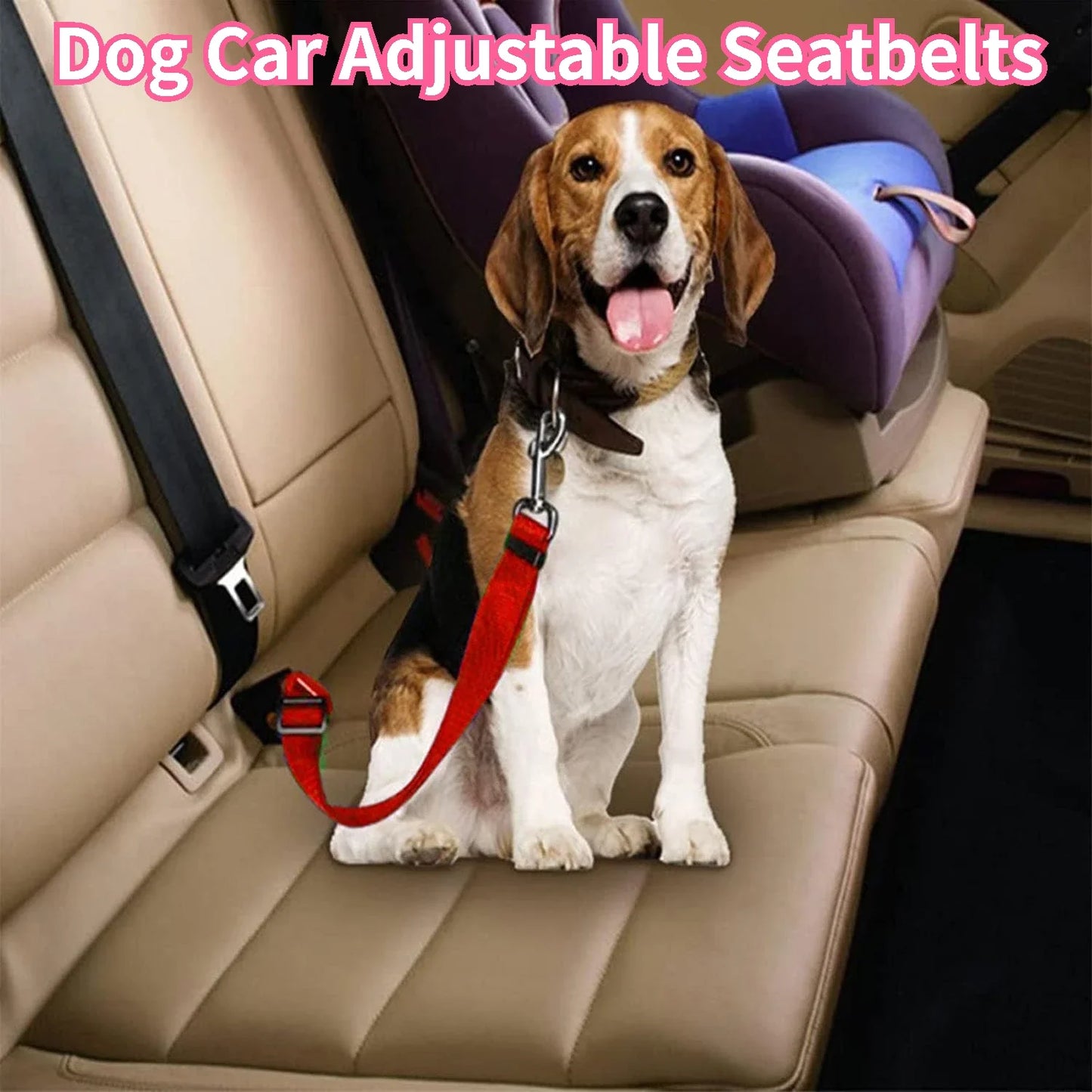 Cinturon de seguridad para mascotas. Dog Car Adjustable