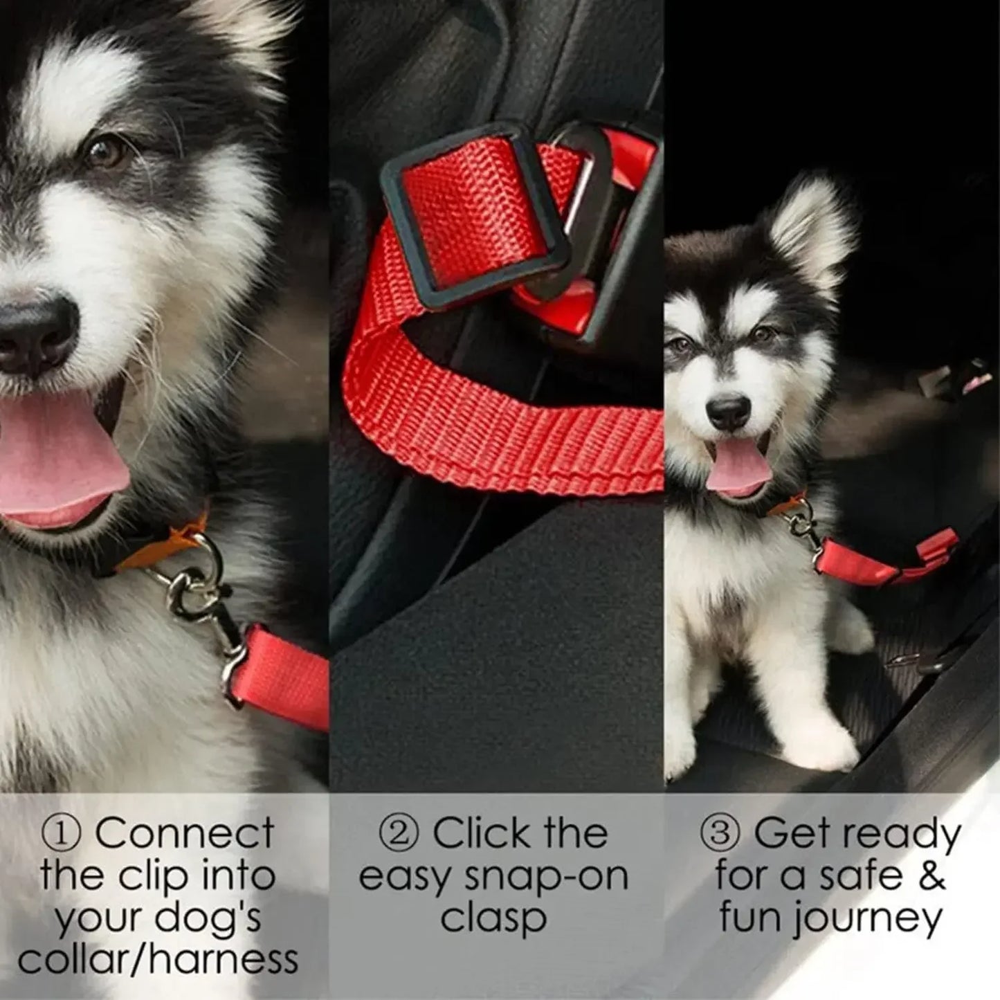 Cinturon de seguridad para mascotas.  Dog Car Adjustable